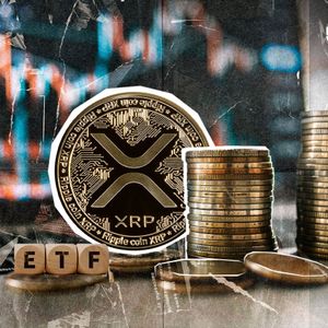 $0 in 24 Hours? XRP ETFs Break Long Inflow Streak
