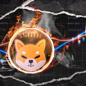 1,000,002 SHIB Burned in Hours, but Yet SHIB Burn Rate Drops 32.29%