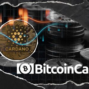 Cardano vs Bitcoin Cash: The Ultimate Dominance Fight is On