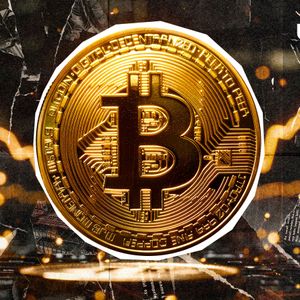 Bitcoin Dominance Logs Rapid Plunge as XRP, SHIB, and Other Altcoins Surge