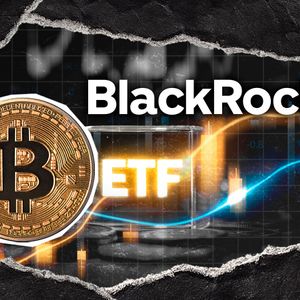 $697,000,000 Inflow: BlackRock Bitcoin ETF Sparks BTC Price Rebound Signal