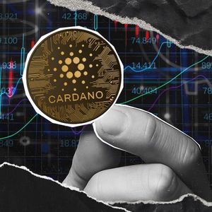 Cardano Price May Rocket 40% If ADA Repeats XRP's Success
