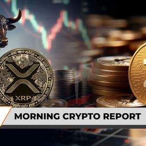 Morning Crypto Report: XRP Bulls Are Safe From Max Pain, Zcash (ZEC) Rockets 9,780% in Liquidation Imbalance as Core Team Exits, Binance Announces Gold and Silv...