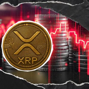 XRP Shifts Gear: Binance Data Sparks Hope for Price Reversal