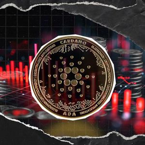 'New Cardano' Decouples from Privacy Coin Rally, Price Falls 7%