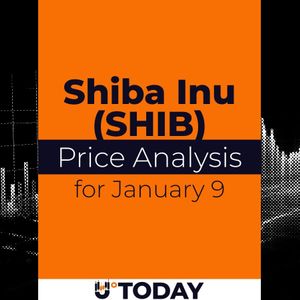 SHIB Price Analysis for January 9