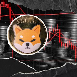 'Stay Strong' Shiba Inu Team Member Speaks as SHIB 2026 Rally Stumbles