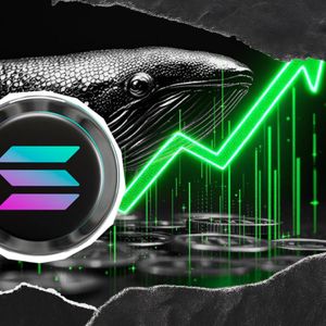 Dormant Solana Whale Awakens: 80,000 SOL Moved After One Year