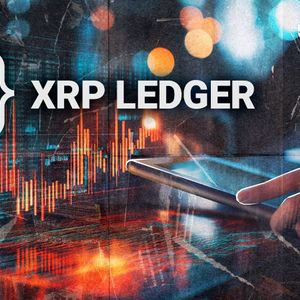 XRP Ledger Loses 99% of Activity in 48 Hours: Should You Be Worried?
