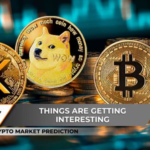 Crypto Market Review: XRP Might Go Parabolic, Perfect Bitcoin (BTC) Bounce Setup, Dogecoin (DOGE) Losing Critical Support Level