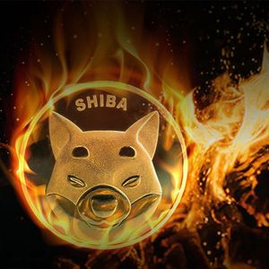 Shiba Inu Burn Rate Jumps 706% As Holder Number Soars High Overnight