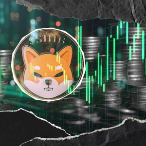 Shiba Inu (SHIB) Key Price Reset: Big Chance For Recovery