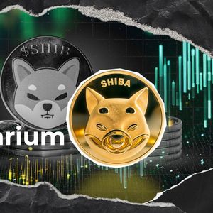 Shiba Inu Ecosystem Celebrates First Anniversary for Shibarium-Based Token
