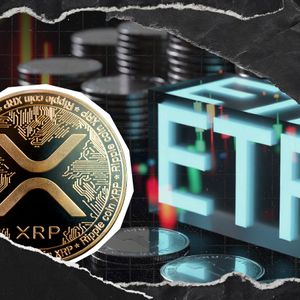 803,780,000 XRP Now Locked in ETFs as Major Repricing Looms