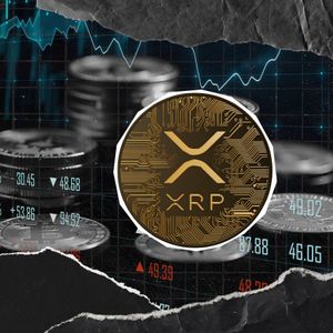 XRP Payments Spike to 1.346 Million in 24 Hours: Rally Isn't Stopping