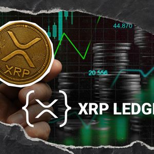 100% XRP Ledger Surge is All You Need to Know About Future of XRP