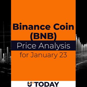 Binance Coin (BNB) Price Analysis for January 23