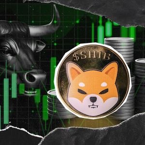 +134% For Shiba Inu (SHIB): 9 out of 10 Metrics Are Extremely Bullish