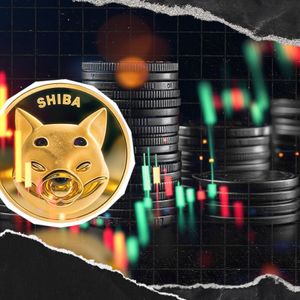 11,000,000,000,000 Shiba Inu in 24 Hours, What is Happening?