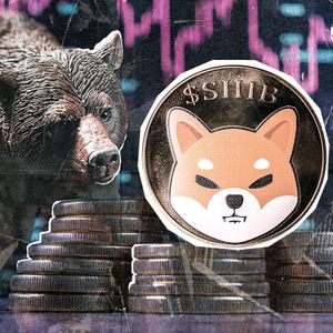 -72,000,000,000 Shiba Inu (SHIB) in 24 Hours: Bears Went Sleeping