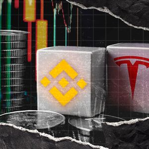 Elon Musk's Tesla (TSLA) Now Trading on Binance: Details