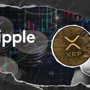 Where Is XRP Headed Next? Ripple Leaders and Community Go Live for Two Days