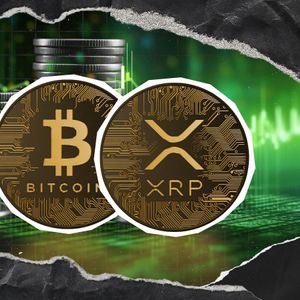 XRP and Bitcoin Are in Top-5 Most Popular Assets Right Now: Details
