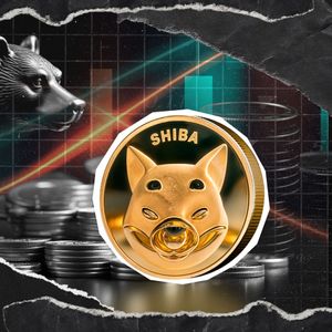 Top SHIB Exec Believes Bear Market Is Here But There’s Catch
