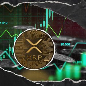 Are XRP Millionaires Buying? On-Chain Signals Say So