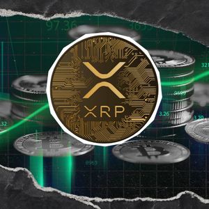 XRP Faces Brutal 11,348%  Liquidation Imbalance: What Just Happened?