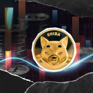 -101,000,000,000 Shiba Inu (SHIB) in 24 Hours: Control Was Taken