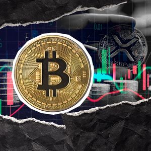 XRP Trader Who Predicted 700% Bull Run Shares Brutal Bitcoin Price Update