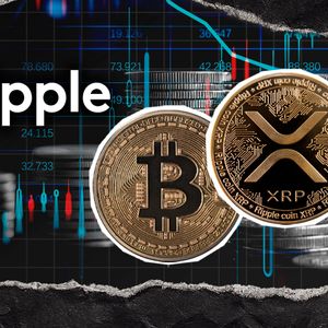 XRP Over Bitcoin? 13 Year Old Ripple Validation Resurfaces
