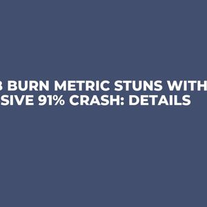 SHIB Burn Metric Stuns with Massive 91% Crash: Details
