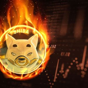 SHIB Burn Rate 225% Up As Shiba Inu Emerges Among Most Popular Smart Contracts