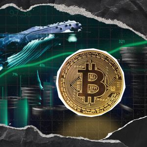 7-Year Dormant Bitcoin Whale Wakes Up, Moves 2,043 BTC
