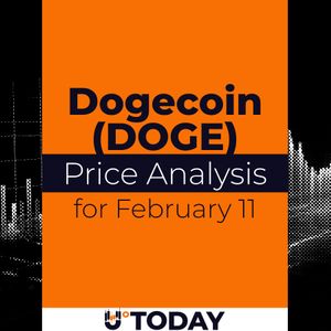 DOGE Price Analysis for February 11