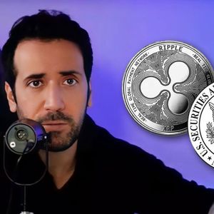 Ripple-SEC Case Outcome May Be Announced Just in 2 Months: David Gokhshtein