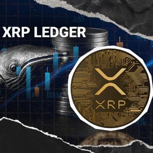 XRPL Payment Volume Hits 773 Million XRP: Whale Movement or a New Utility Trend?
