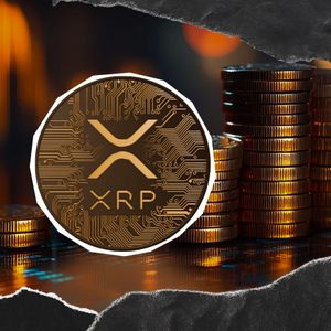 XRP Network Activity Down 26% as Active Addresses Fall to 40,778