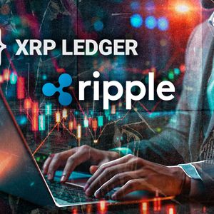 New XRPL Development Tool Faces Critique Over Mainnet Feature Compatibility