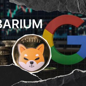 Shibarium Search Interest Records Unusual 100% Rise and Fall on Google