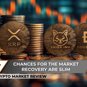 Crypto Market Review:  XRP Faces an 85% Volume Reset, Shiba inu (SHIB) Bullrun Chances Are Slim, Analyzing Dogecoin's Possibility to Return to $0.1