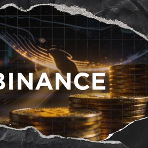 Binance Sees Major Investor Sentiment Shift: Biggest Whale Inflows Since 2024
