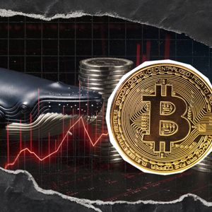 $2 Billion in Bitcoin Scooped by Whales Despite Price Dip