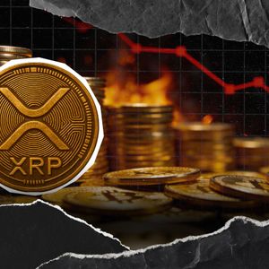 XRP Flashes Bullish Signal With 1,660,000,000 XRP Staked