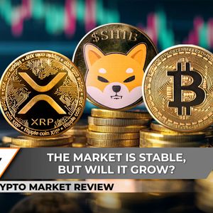 Crypto Market Review: XRP's Double Bottom Could be the Key, Bitcoin is Literally on the Edge, Shiba Inu (SHIB) Price is Trapped Now