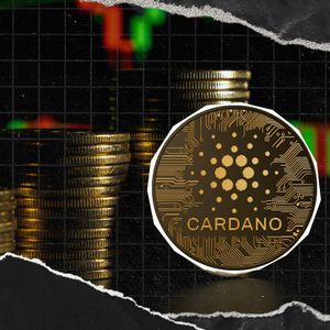 Cardano Foundation Resets Community Funding Model, Analyzing Influence on ADA