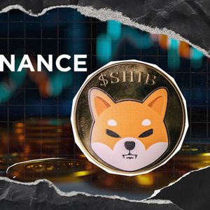 Shiba Inu Whale Sends 50% of SHIB Stack to Binance After Holding For 2 Years
