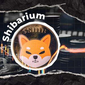 Shiba Inu: Connection Problems on Shibarium Usually Not Network-Related
